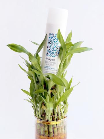 Be Gentle, Be Kind Green Tea Clarifying Shampoo